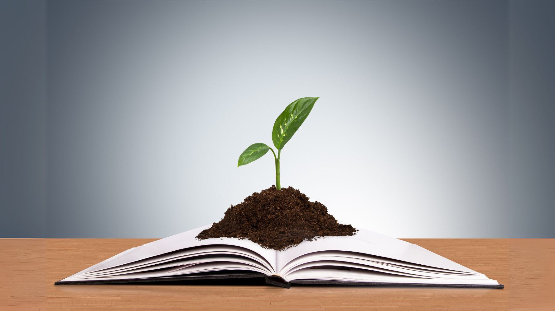 The Principles of Mentoring: A Guide to Meaningful Relationships