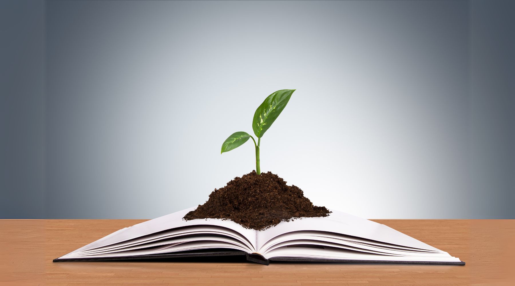 The Principles of Mentoring: A Guide to Meaningful Relationships