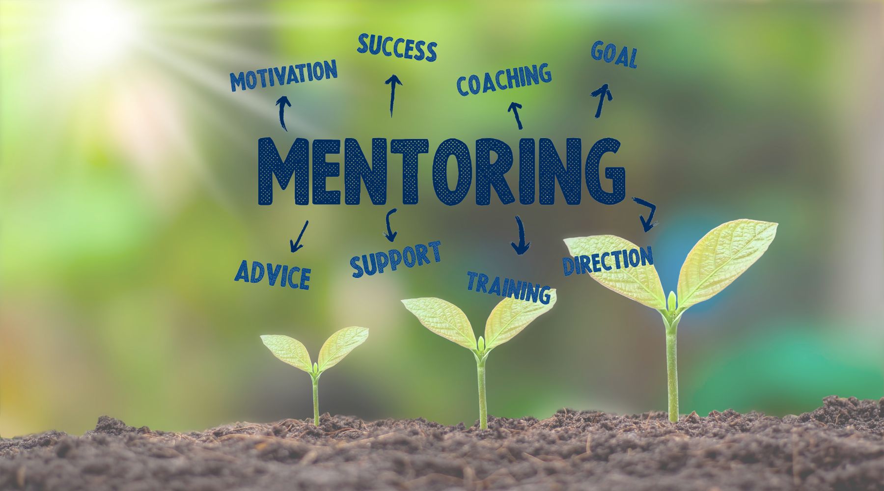 The Power of Mentorship in Engineering