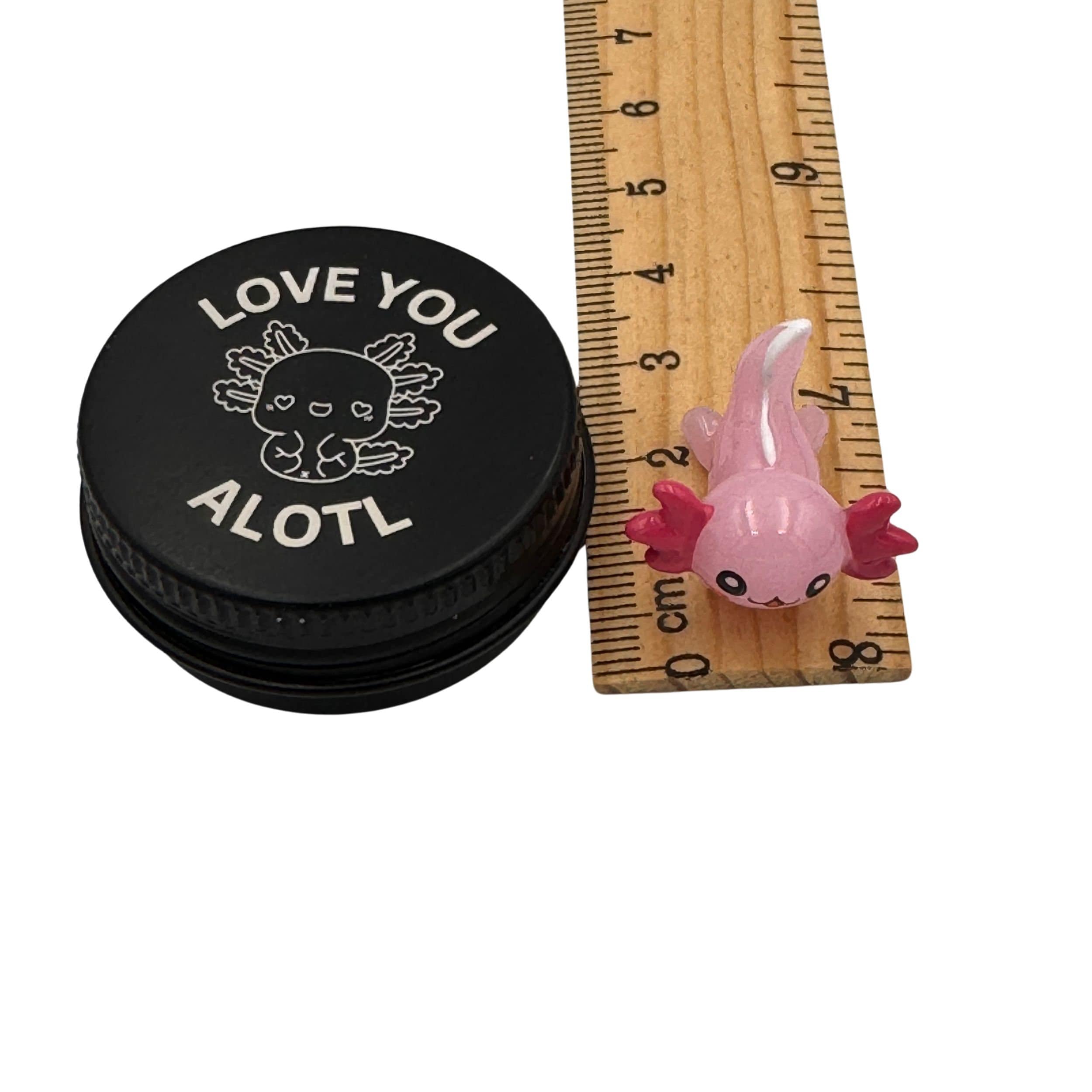 Personalised Axolotl Pocket Pal. Custom Marine Animal Buddy in a Tin. I love you alotl mini tin pet. Laser engraved small pal.