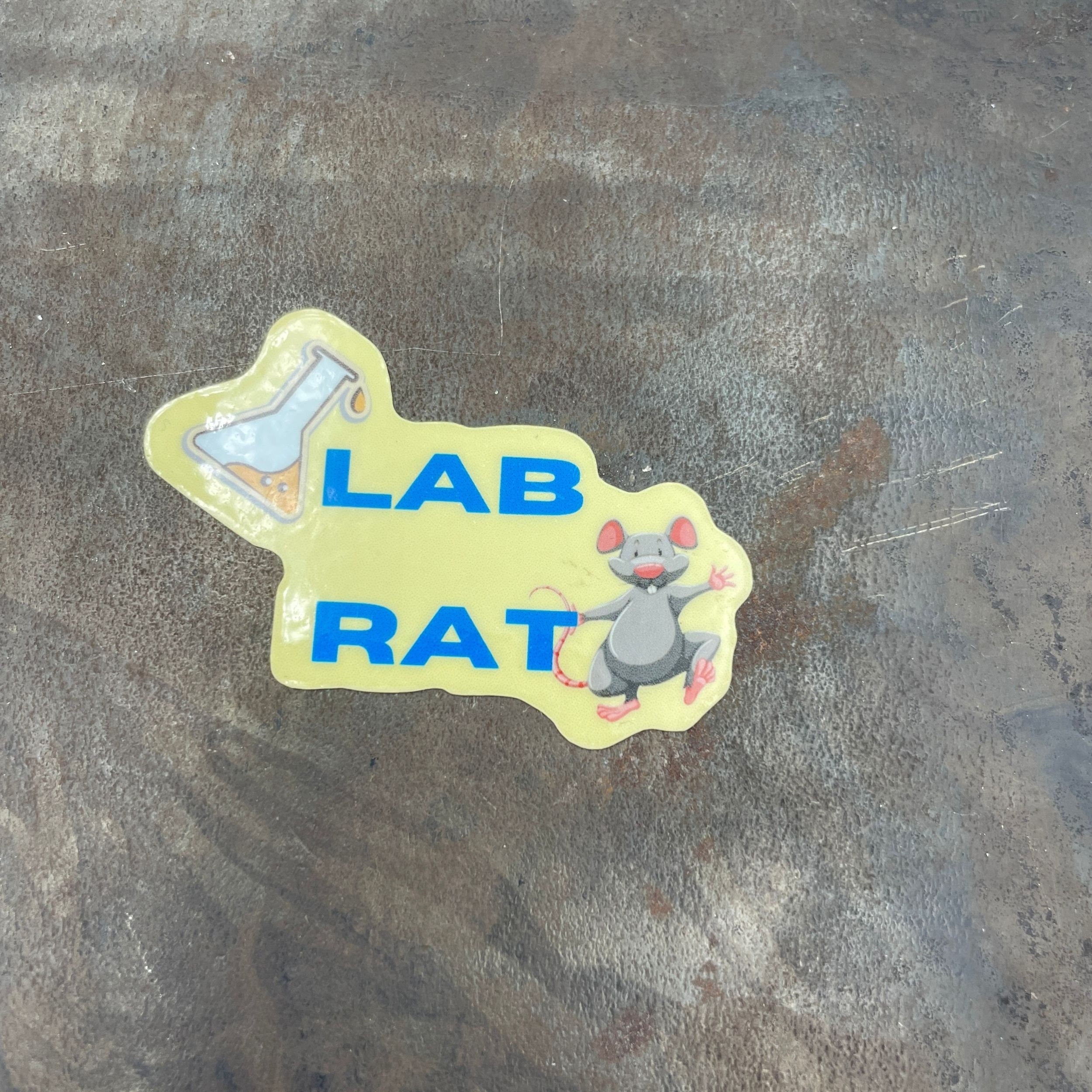 Science Lab Rat Vinyl Coated Magnet